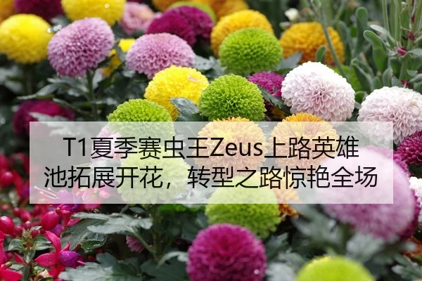 T1夏季赛虫王Zeus上路英雄池拓展开花，转型之路惊艳全场
